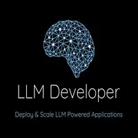 LLM Developer