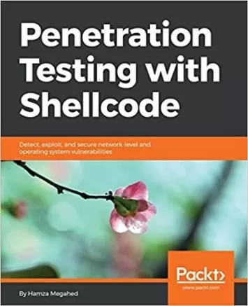 Penetration Testing with Shellcode: Detect, exploit, and secure network-level and operating system vulnerabilities