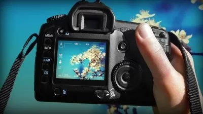 Camera Focus Techniques: The Key To Super Sharp Photos